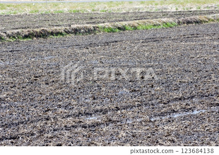 Rice field soil making 123684138