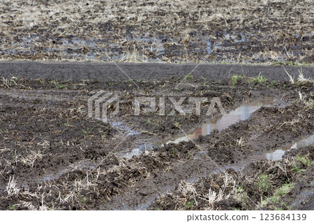 Rice field soil making 123684139