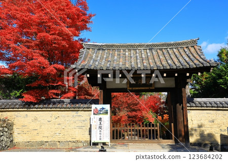 Rokuo-in Temple Autumn leaves landscape Mountain gate 123684202