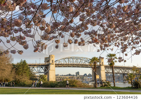 Sunset Beach Park in springtime season. Cherry blossom in full bloom. Burrard Street Bridge. Vancouver, BC, Canada. Sunset Beach Park in springtime season. Cherry blossom in full bloom. Burrard Street Bridge. Vancouver, BC, Canada. 123684416