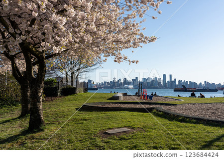 North Vancouver, BC, Canada - April 13 2021 : Waterfront Park in springtime season. People are here enjoying cherry blossoms in full bloom. North Vancouver, BC, Canada - April 13 2021 : Waterfront Park in springtime season. People are here enjoying cherry blossoms in full bloom. 123684424