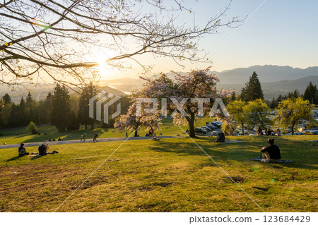 Burnaby, BC, Canada - April 18 2021 : Burnaby Mountain Park in sunset time. People having a picnic here enjoying cherry blossom flowers during springtime. Simon Fraser University Burnaby Campus. 123684429