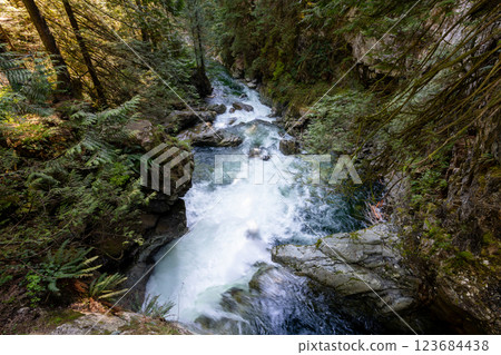 Lynn Canyon Park Twin Falls, North Vancouver, British Columbia, Canada. 123684438