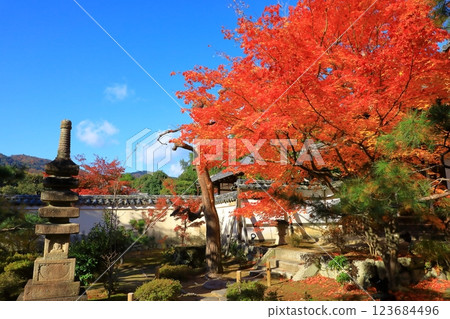 Autumn leaves at Rokuo-in Temple 123684496
