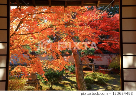 Autumn leaves at Rokuo-in Temple 123684498