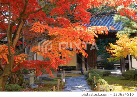 Autumn leaves at Rokuo-in Temple 123684510