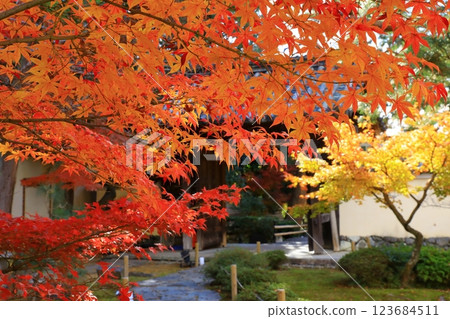 鹿王院的秋葉 鹿王院的秋葉 123684511