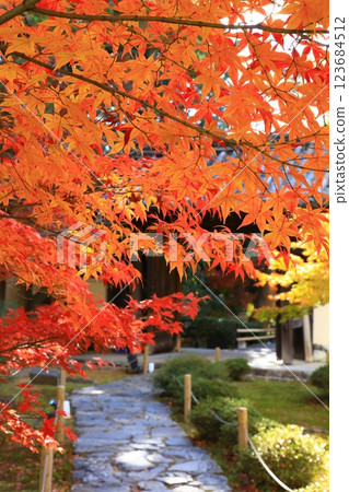Autumn leaves at Rokuo-in Temple 123684512