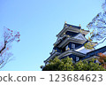 晴空下的岡山城 123684623