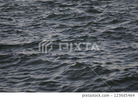 The ocean 123685464