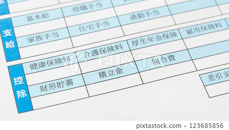 Salary deductions in the savings section of your pay slip Salary deductions in the savings section of your pay slip 123685856