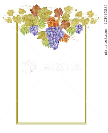Watercolor vertical frame with grapes. Illustration of grapevine, purple berries and leaves. Frame for wine, jam, juice label. Clipart for wine, cafe, restaurant. 123685885