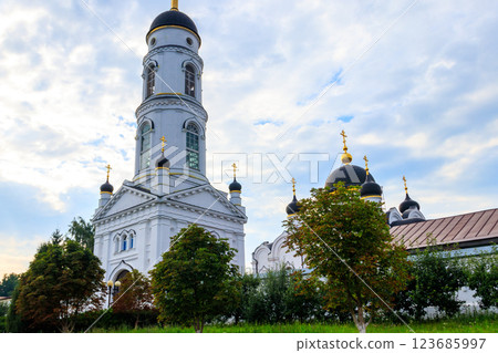 St. Tikhon's Transfiguration convent in Zadonsk, Russia 123685997