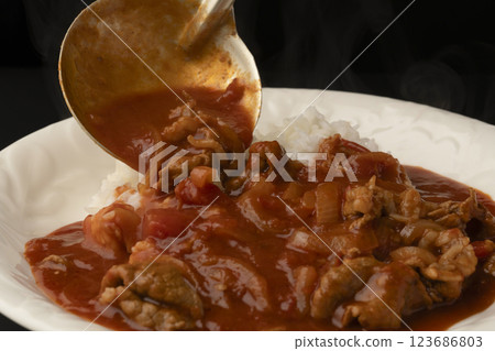 將林飯盛在米飯上 123686803