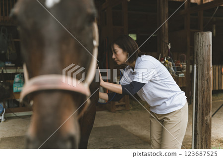 獸醫 馬 馬兒 123687525