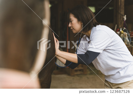 veterinarian, veterinary, veterinary surgeon 123687526