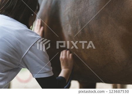 veterinarian, veterinary, veterinary surgeon 123687530