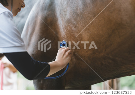 獸醫 馬 馬兒 123687533