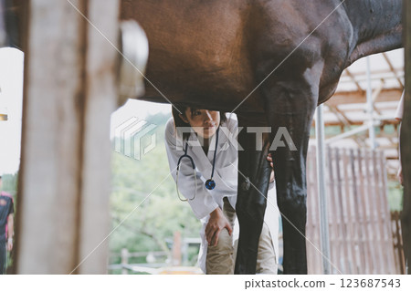 veterinarian, veterinary, veterinary surgeon 123687543