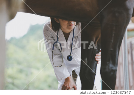 獸醫 馬 馬兒 123687547