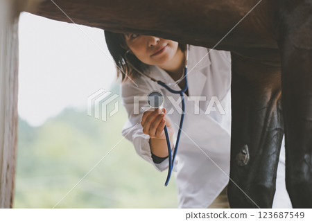 獸醫 馬 馬兒 123687549