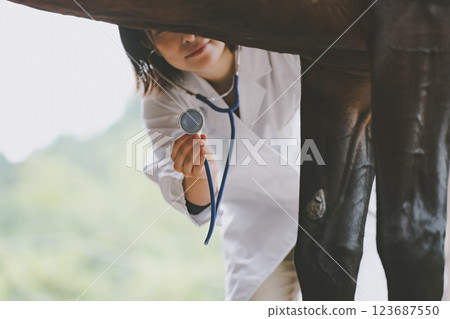veterinarian, veterinary, veterinary surgeon 123687550