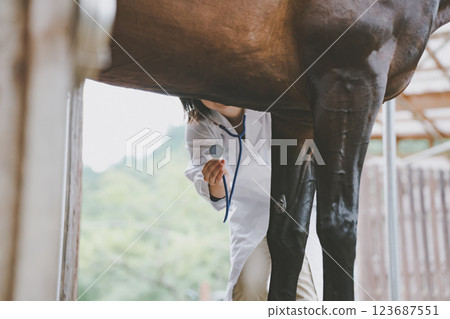 veterinarian, veterinary, veterinary surgeon 123687551