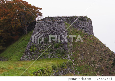 Ishigaki of Tsuwano Castle 123687571