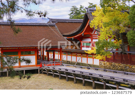 Itsukushima Shrine, one of the Three Most Scenic Spots of Japan Itsukushima Shrine, one of the Three Most Scenic Spots of Japan 123687579