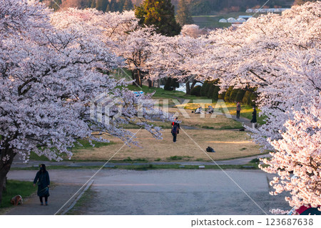210410 Miyagawa Green Park Sakura G100 210410 Miyagawa Green Park Sakura G100 123687638
