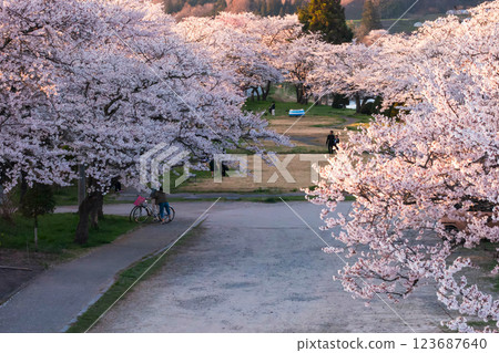 210410 Miyagawa Green Park Sakura g116 210410 Miyagawa Green Park Sakura g116 123687640