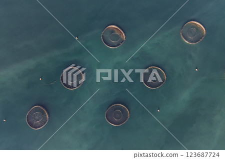 Footage of fish ponds, the main form of aquaculture. Salmon, sea bass, sea bream and trout are the most commonly grown fish in fish ponds used for commercial fishing in the sea, lakes and ponds. Footage of fish ponds, the main form of aquaculture. Salmon, sea bass, sea bream and trout are the most commonly grown fish in fish ponds used for commercial fishing in the sea, lakes and ponds. 123687724