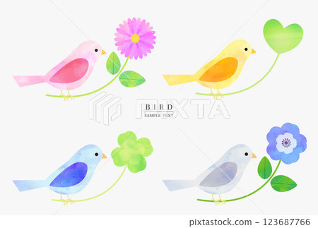 Colorful bird and plant illustration set (watercolor style vector) 123687766