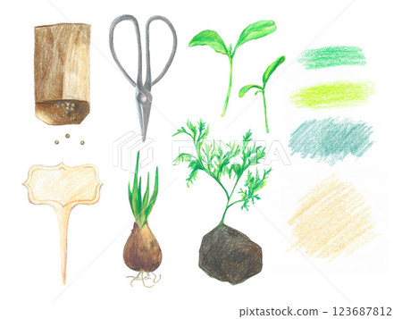 Set of hand-drawn isolated garden elements on a white background. Bag with seeds, tulip bulb, plant, scissors, sign for pot, seedling, background. Colored pencils illustration for design. 123687812