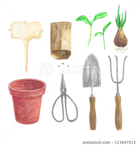 Set of hand-drawn isolated garden elements on a white background. Bag with seeds, tulip bulb, plant, scissors, sign for pot, seedling, flower pot, shovel, rake. Colored pencils illustration for design 123687813
