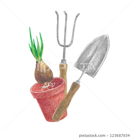 Hand-drawn garden elements. Flower pot, tulip bulb, shovel, rake, seedling. Colored pencils illustration for design 123687834