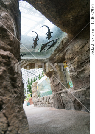 熱川香蕉萬尼花園 123687956