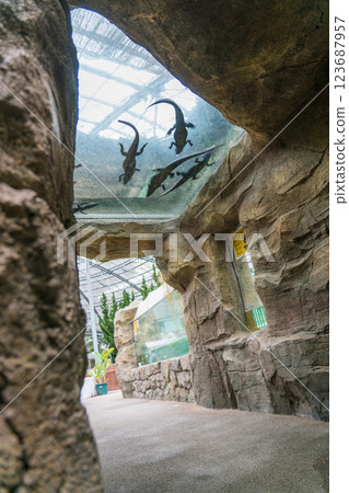 熱川香蕉萬尼花園 123687957