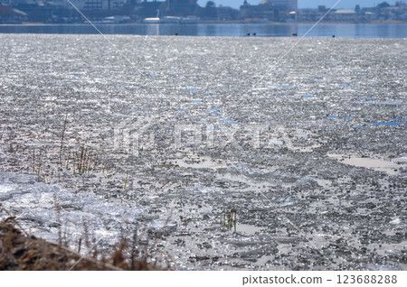 Ice fragments washing ashore on the lakeshore [Lake Suwa] 123688288
