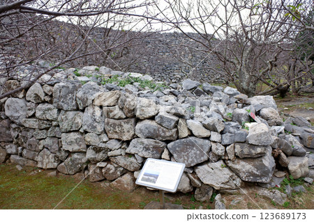 Okinawa Prefecture Nakijin Castle Ruins and Osumi Castle 123689173