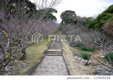 沖繩縣今歸仁城跡及城路 123689284