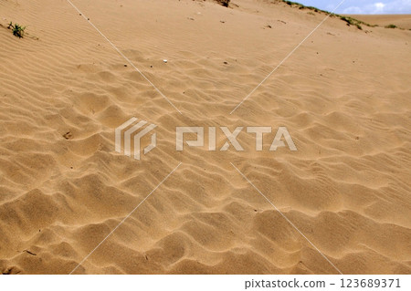 Tottori four seasons walk summer Tottori sand dunes Tottori four seasons walk summer Tottori sand dunes 123689371