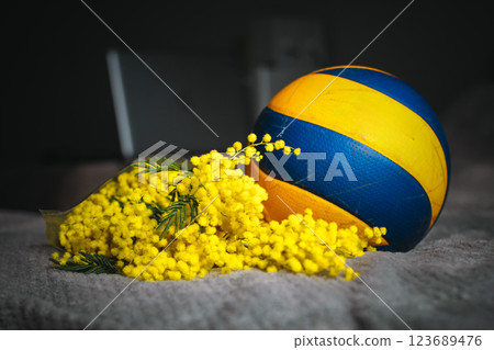 Yellow mimosa flowers. Close up. Spring, Women day, Easter greeting card. Nature background 123689476
