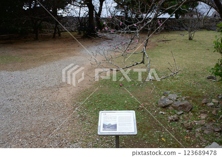 沖繩縣今歸仁城跡、大場 沖繩縣今歸仁城跡、大場 123689478