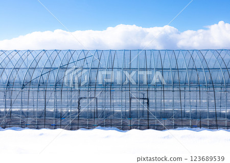 Winter blue sky and clouds and agricultural vinyl greenhouses 123689539