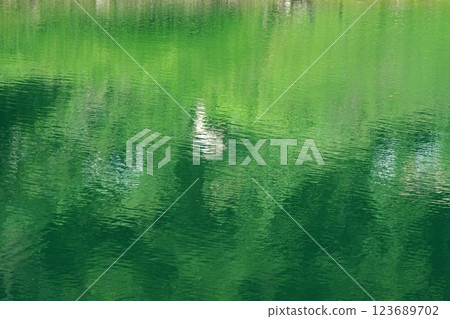 Tottori four season walk summer Saji dam 123689702