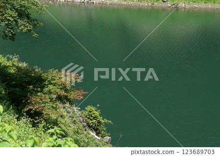 Tottori four season walk summer Saji dam 123689703