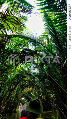Vietnam's Jungle Vietnam's Jungle 123690387