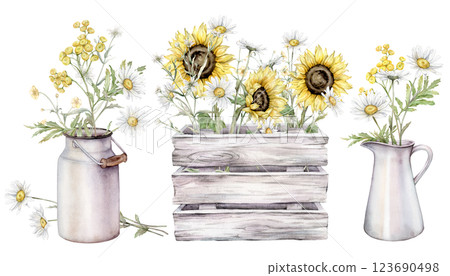 Watercolor illustrations set of chamomile and tansy in jug, bouquet of white daisy and sunflower in white gray wooden box. Hand drawn illustration meadow flowers isolated on background. 123690498