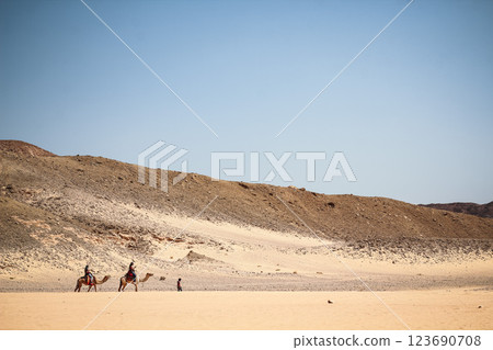 camel caravan walking through the desert with Arab boys in Egypt Dahab camel caravan walking through the desert with Arab boys in Egypt Dahab 123690708